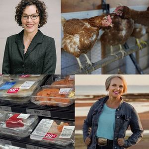 Food Professor Podcast - Enjoy Today Discounts, B.C. Chicken Takes Flight, & The Art & Science of Innovation with guest Bettina Hamelin, President and CEO of Ontario Genomics