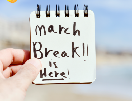 March Break 2024 Shopping in Canada Survey | National Consumer Research – Caddle & RCC